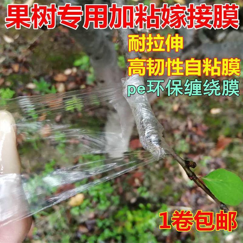 专业PE嫁接膜苗木果树专用膜缠绕膜自粘打包膜免打结透明拉