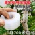 专业PE嫁接膜苗木果树专用膜缠绕膜自粘打包膜免打结透明拉