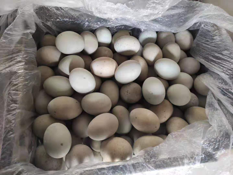 厂家长年供应松花蛋，咸鸭蛋，质量保证，欢迎长期合作！