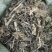 供应升麻升麻片无杂质升麻品质保证量大从优包邮到