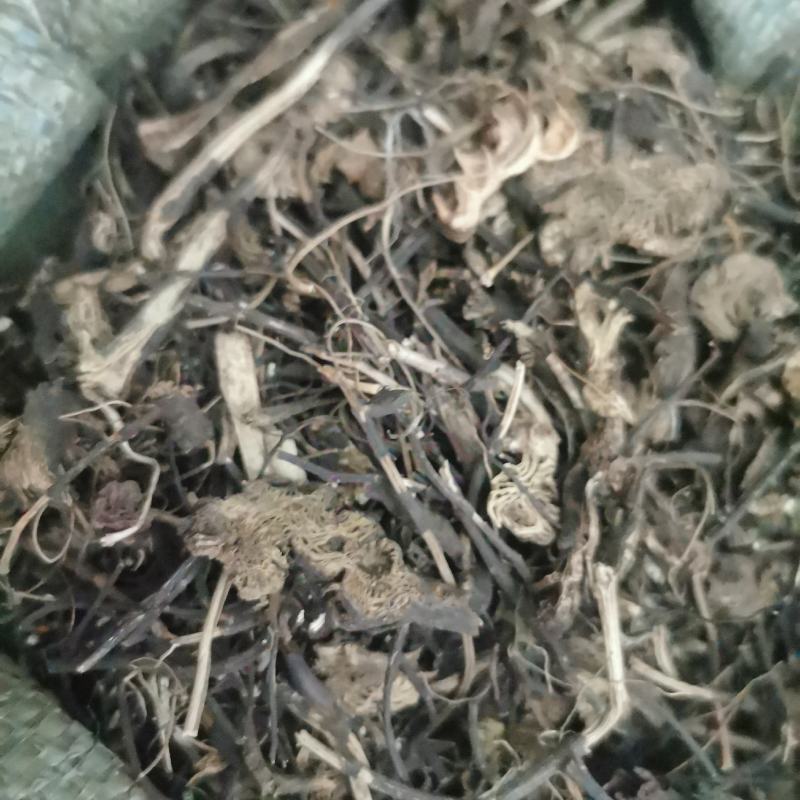 供应升麻升麻片无杂质升麻品质保证量大从优包邮到