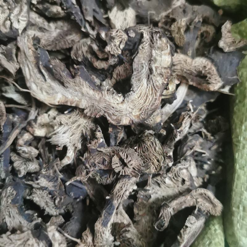 供应升麻升麻片无杂质升麻品质保证量大从优包邮到