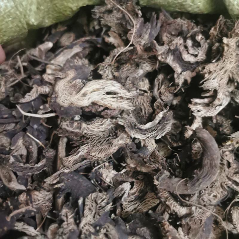 供应升麻升麻片无杂质升麻品质保证量大从优包邮到