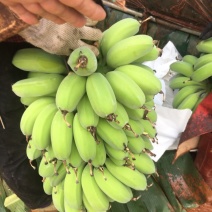 苹果蕉
