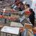 陕西省-亁县红富士冻苹果，公用新老客户超市电商，