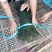 菏泽干豆角基地市场