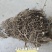 树花菜，云南香格里拉野生，产生直供，品质保证