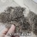 树花菜，云南香格里拉野生，产生直供，品质保证