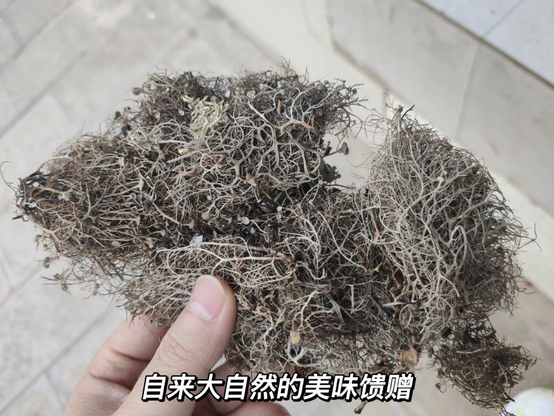 树花菜，云南香格里拉野生，产生直供，品质保证