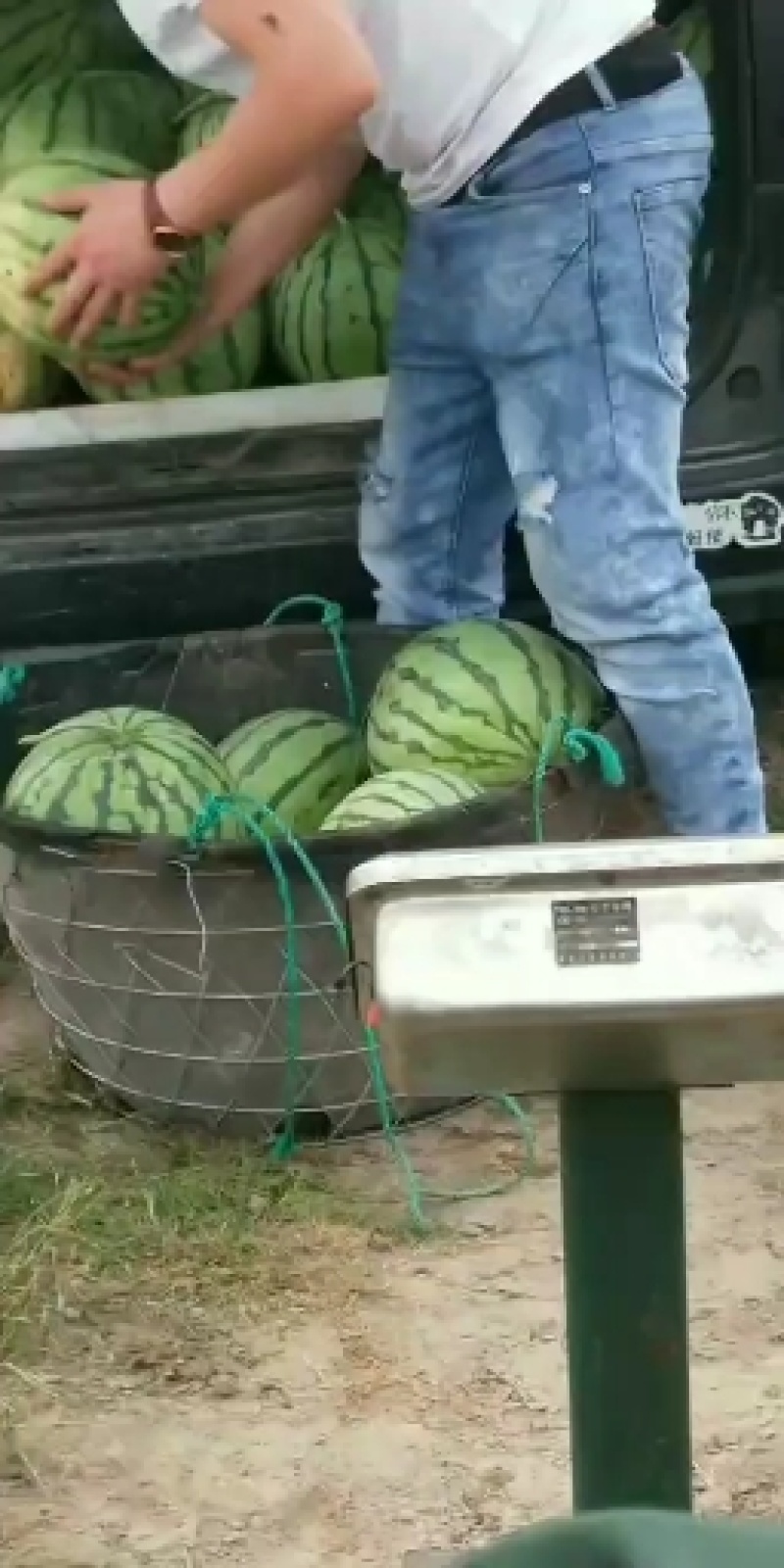 西瓜