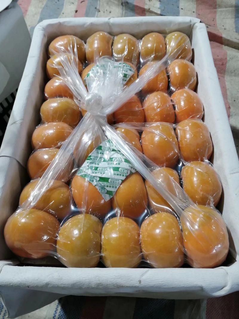 恭城甜脆柿，四个真空包装，质量稳定，货源充足