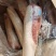 纯干牛舌一手货源保质保量无舌根去油