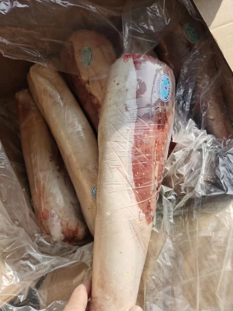 纯干牛舌一手货源保质保量无舌根去油