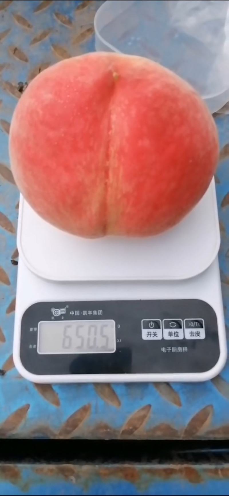 大量供应水蜜桃