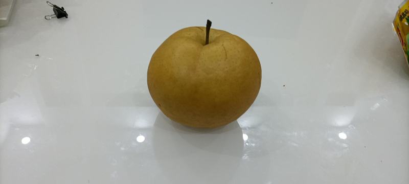 常年批发黄金梨