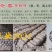 平菇菌种销售高中低温品种灰黑色菇形美纯度高抗杂高