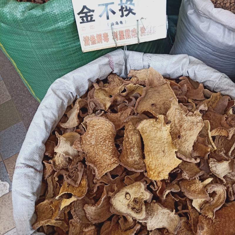 中藥材批發金不换有大量貨源欢迎選购