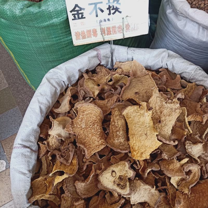 中藥材批發金不换有大量貨源欢迎選购