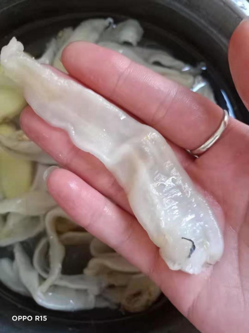 大黄鱼鱼胶