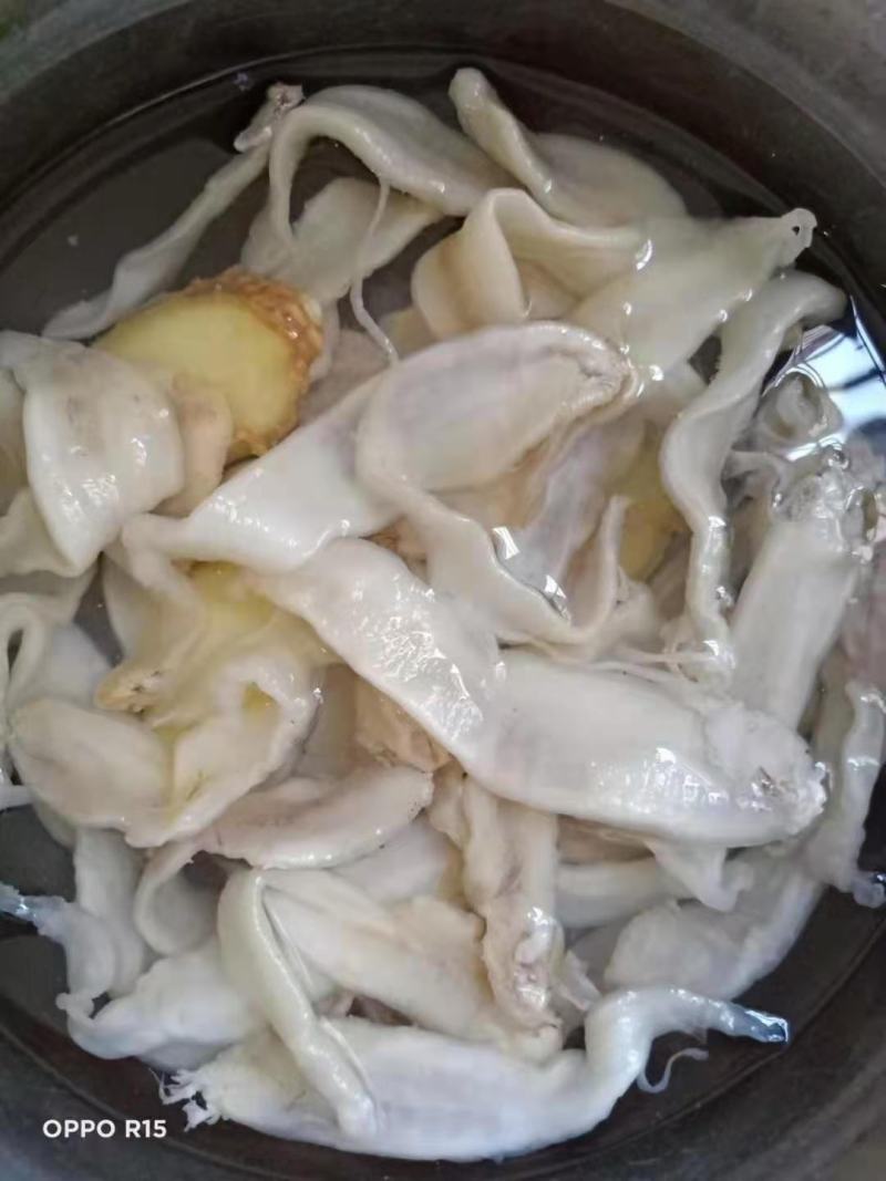 大黄鱼鱼胶