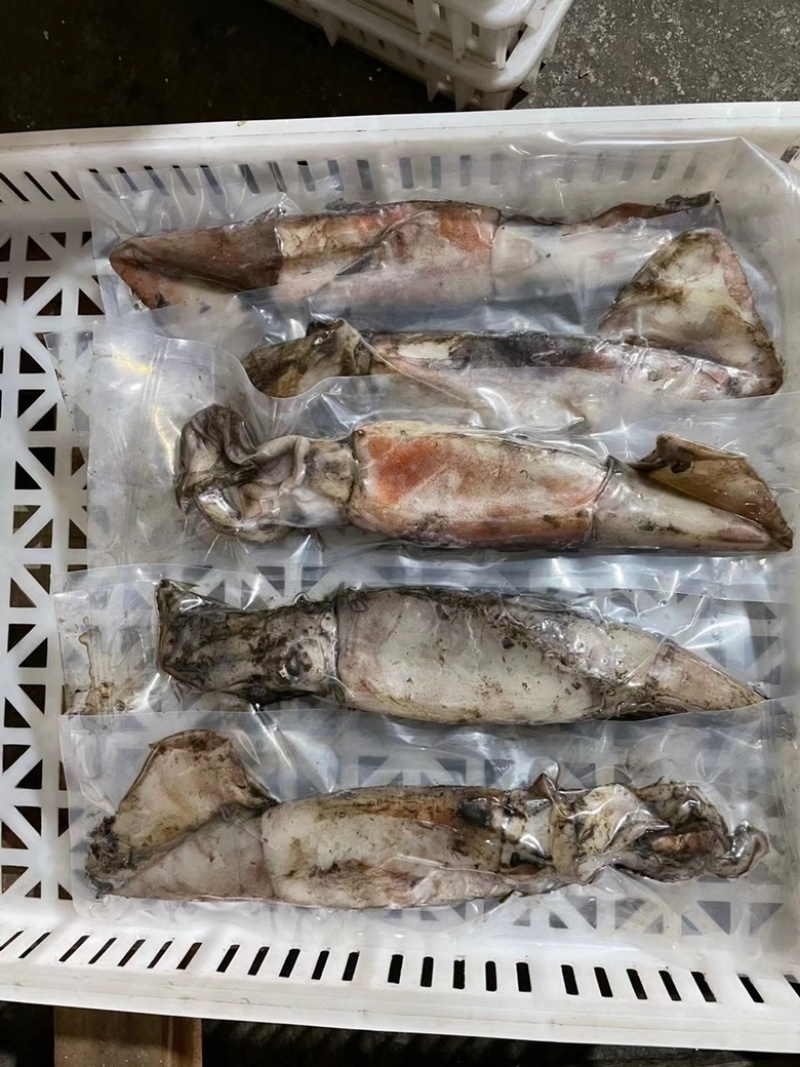 鱿鱼船冻大鱿鱼小鱿鱼乌贼整只冷冻大鱿鱼烧烤