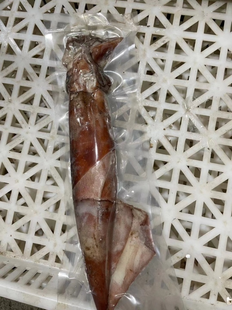 鱿鱼船冻大鱿鱼小鱿鱼乌贼整只冷冻大鱿鱼烧烤