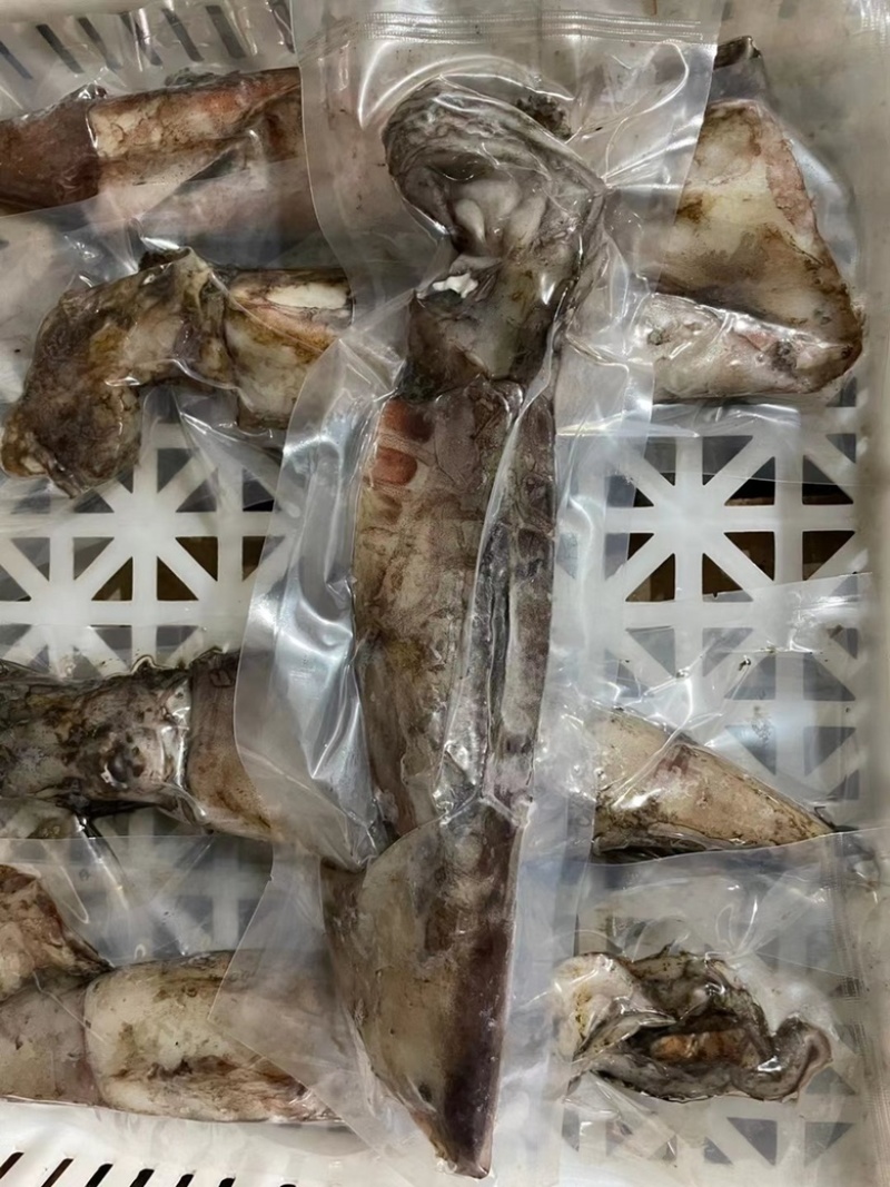 鱿鱼船冻大鱿鱼小鱿鱼乌贼整只冷冻大鱿鱼烧烤