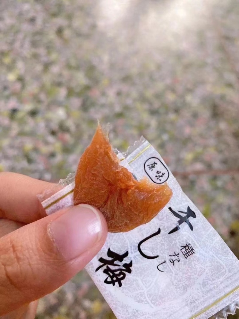 诏安特产富硒无核梅饼酸酸甜甜，健胃消食