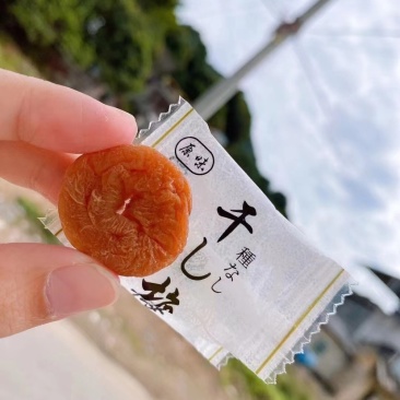 诏安特产富硒无核梅饼酸酸甜甜，健胃消食