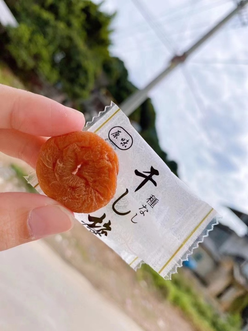 诏安特产富硒无核梅饼酸酸甜甜，健胃消食