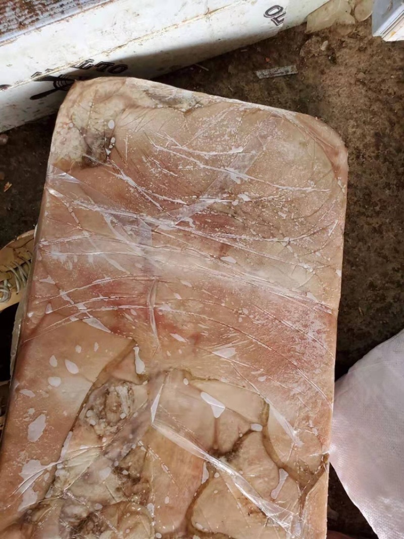 伊航食品，半成品牛肚（一手货源，）