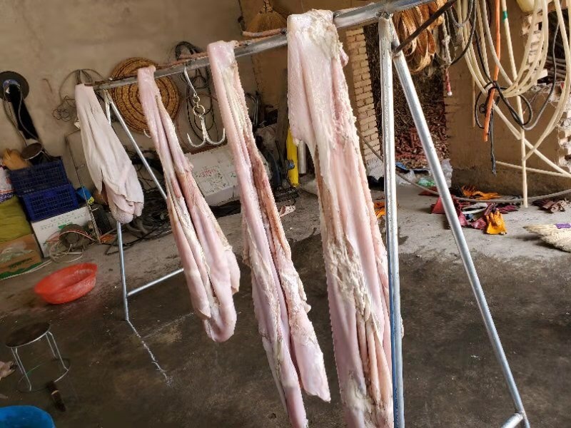 伊航食品，半成品牛肚（一手货源，）
