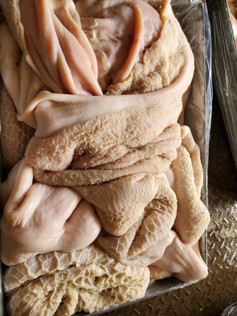 伊航食品，半成品牛肚（一手货源，）