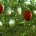 瓜蒌种子瓜楼种籽吊瓜籽种药食两用爬藤种植瓜籽天花粉栝楼