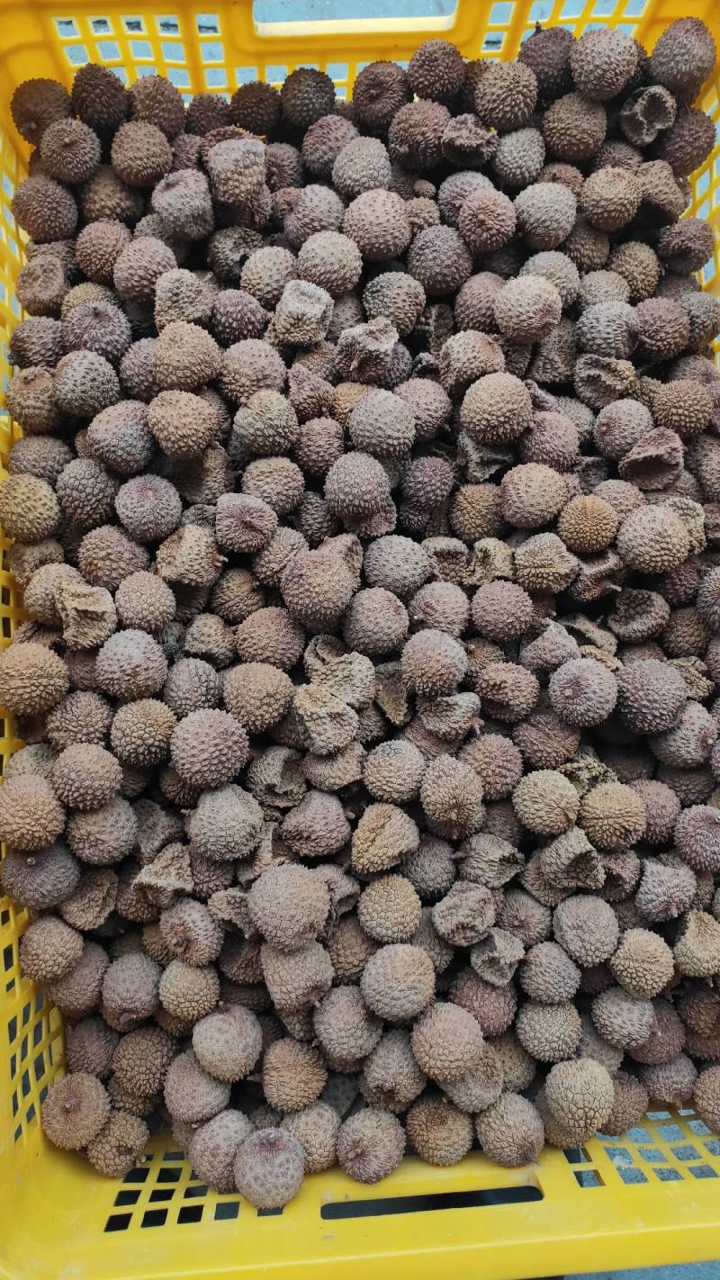 正宗桂味荔枝干
