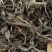 2021年冰岛南迫老寨头春散料生茶，高扬的花野蜜香