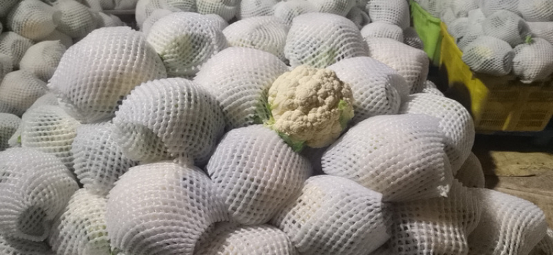 精品蔬菜大量上市需要的联系了