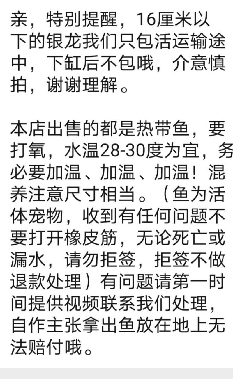 银龙鱼活体发财招财鱼大中型淡水鱼风水鱼金龙鱼龙热带观赏鱼