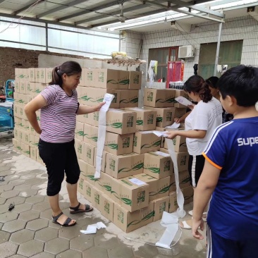 新品头茬丰水梨350～500克纸袋，可供应出口加工