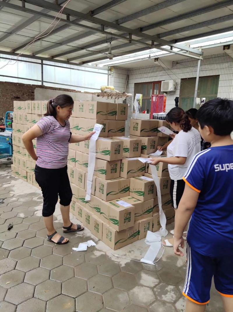 新品头茬丰水梨350～500克纸袋，可供应出口加工