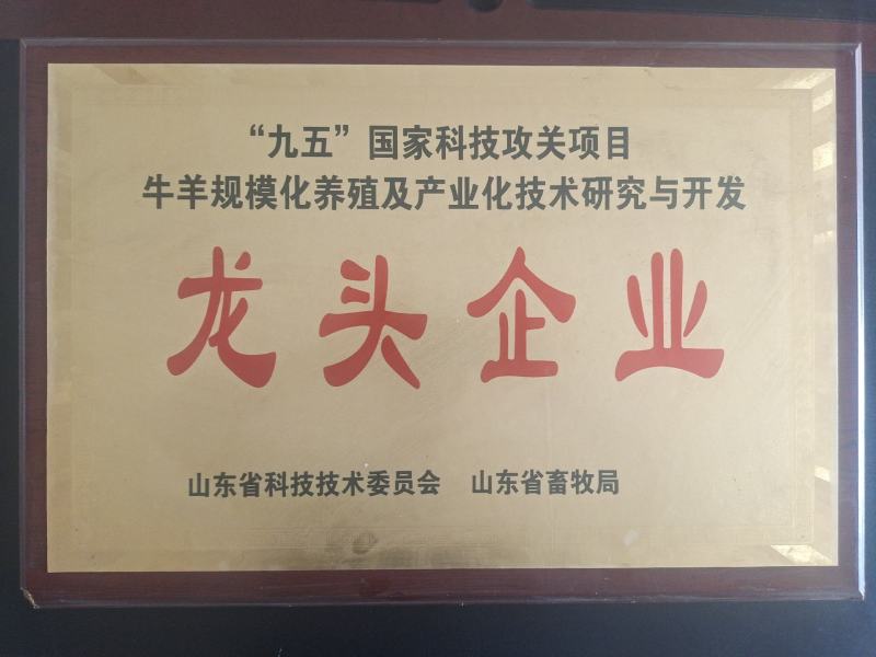 波尔山羊买十送一货到付款诚信单位保证存活