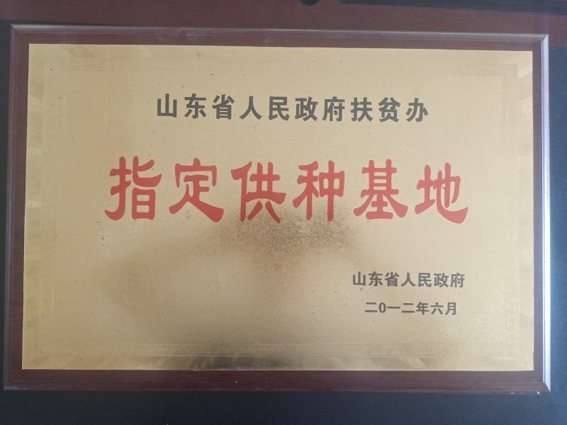 波尔山羊买十送一货到付款诚信单位保证存活