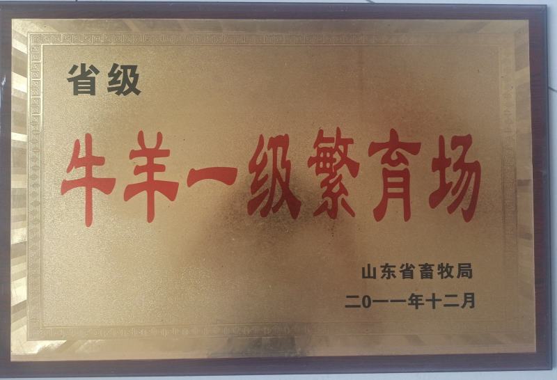 波尔山羊买十送一货到付款诚信单位保证存活