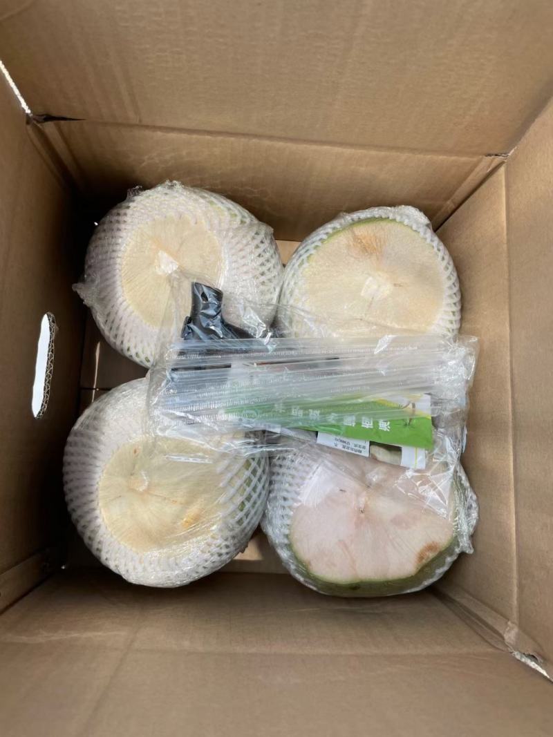 海南特产椰子椰青肉厚水多特好喝全年货源充足