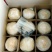 海南特产椰子椰青肉厚水多特好喝全年货源充足