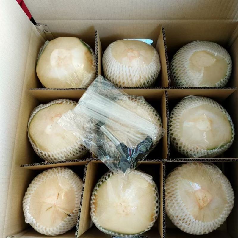 海南特产椰子椰青肉厚水多特好喝全年货源充足