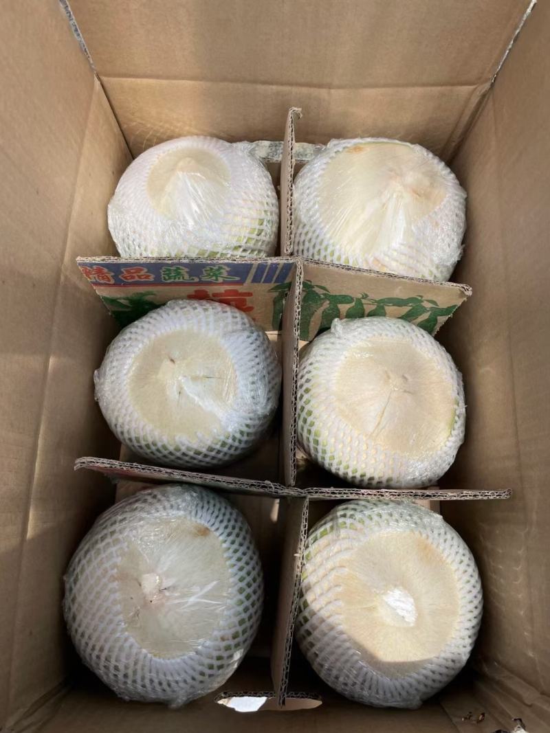 海南特产椰子椰青肉厚水多特好喝全年货源充足