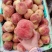 山东陆毛桃春雪大量上市品种齐全。支持全国物流发货一首货源