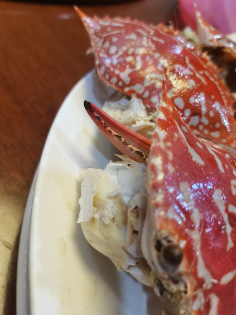兰花蟹，浅网大花蟹，大中小规格，当天上岸适合空运水车运输