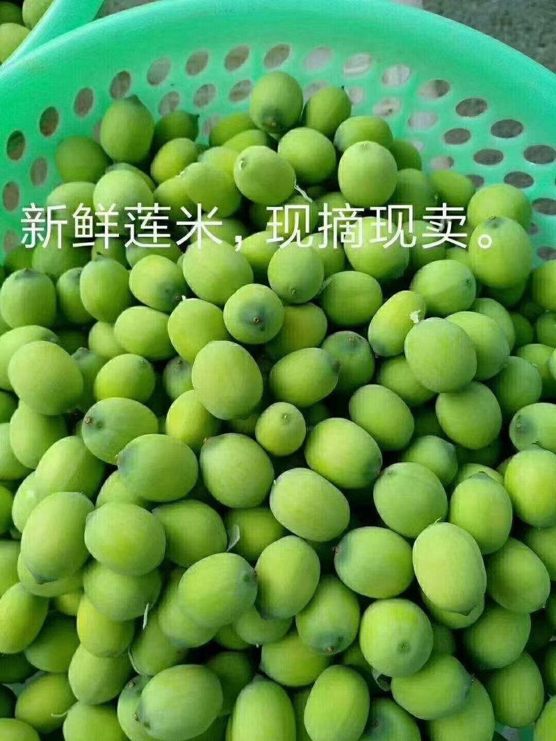 生态有机大空莲蓬每天现摘现卖